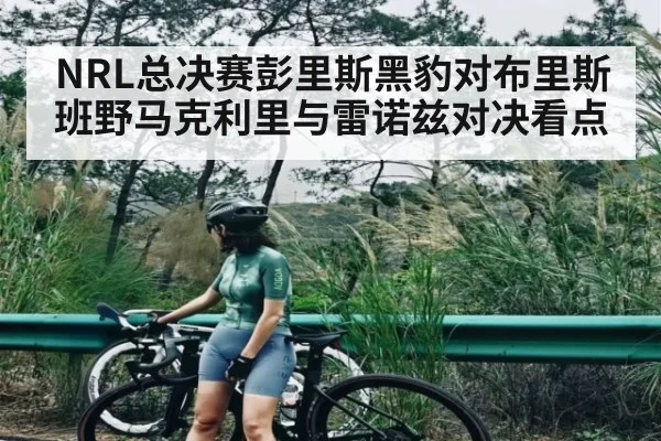 NRL总决赛彭里斯黑豹对布里斯班野马克利里与雷诺兹对决看点